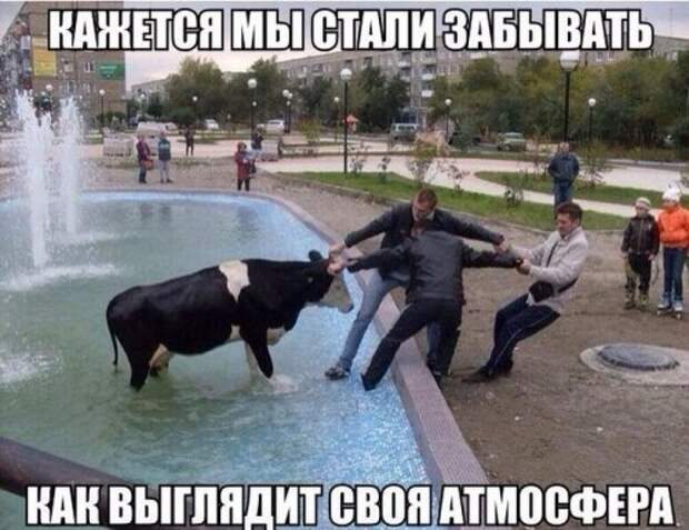 Весёлые фотомемы. Позитивная подборка Весёлые фотомемы. Позитивная подборка
