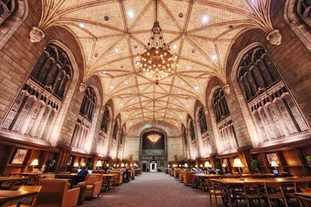 Magnifique-bibliotheque-30
