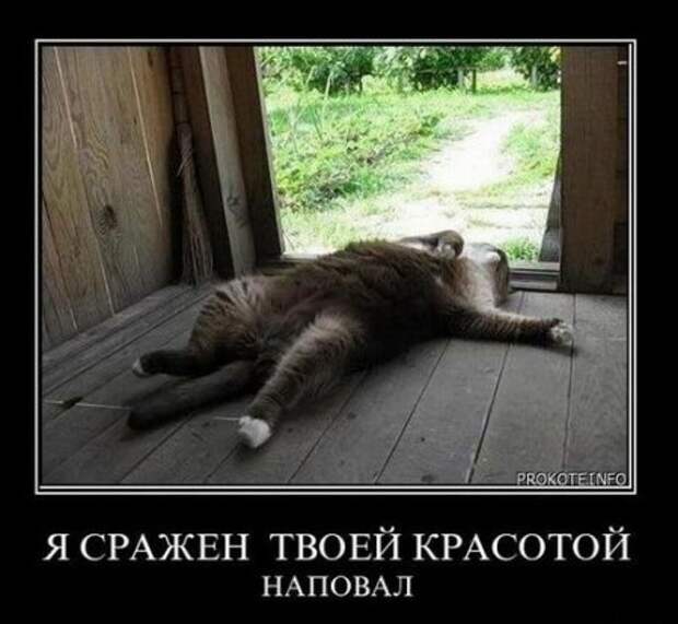 Демотиваторы с приколами на Поржать.ру