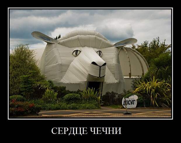 Демотиваторы 