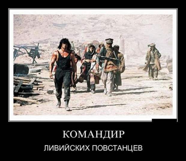 Демотиваторы от 290311 (23 шт.)