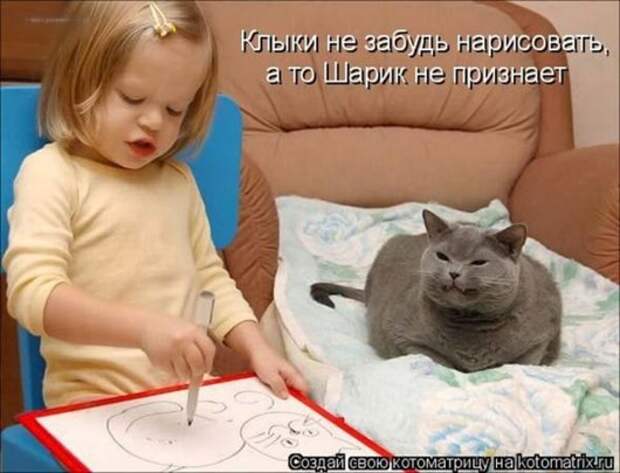 71d6cf942527da013847e5b164c_prev