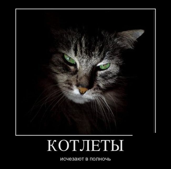 Демотиваторы (30 фото)