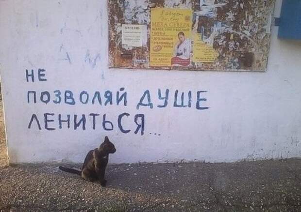 Смешные надписи, объявления и реклама (28 фото)