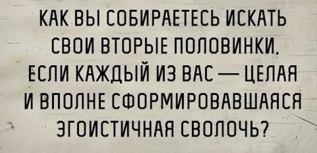 Злободневные цитаты. Голосуйте!