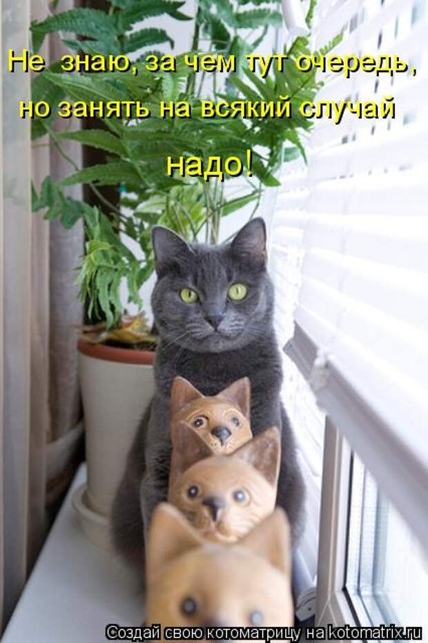 Мысли вслух :)
