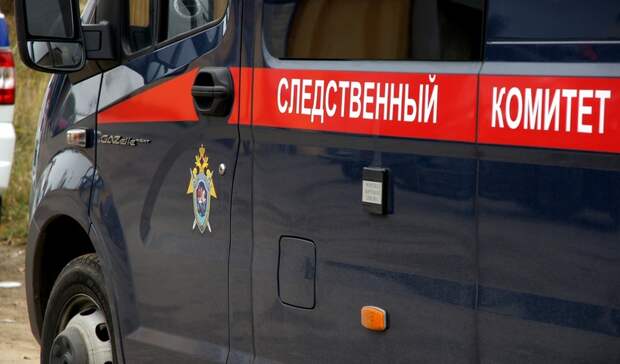 Тела двух 13-летних девочек нашли в Белгородской области