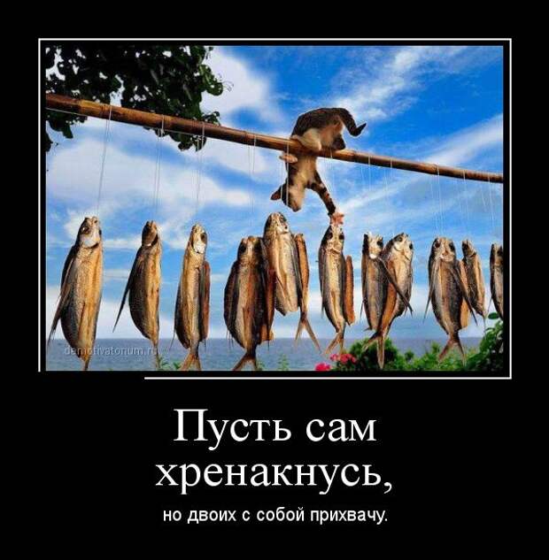Демотиваторы №1040 (30 фото) Демотиваторы №1040 (30 фото)