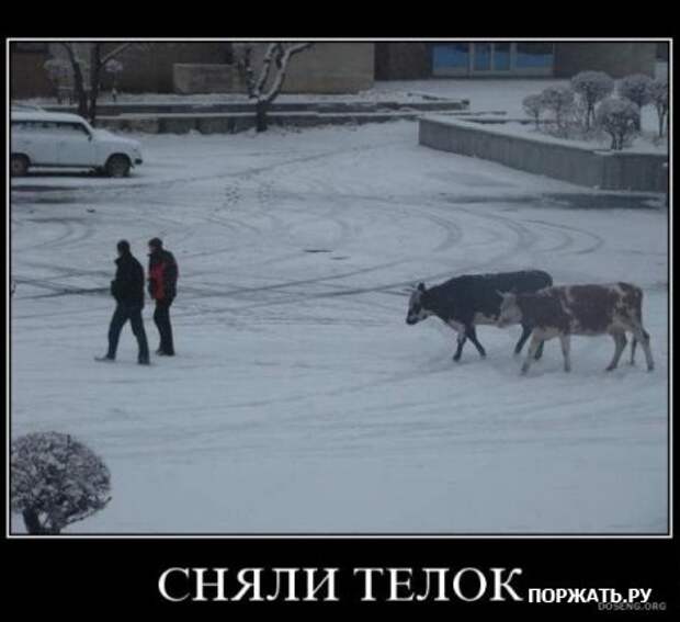 Для любителей демотиваторов