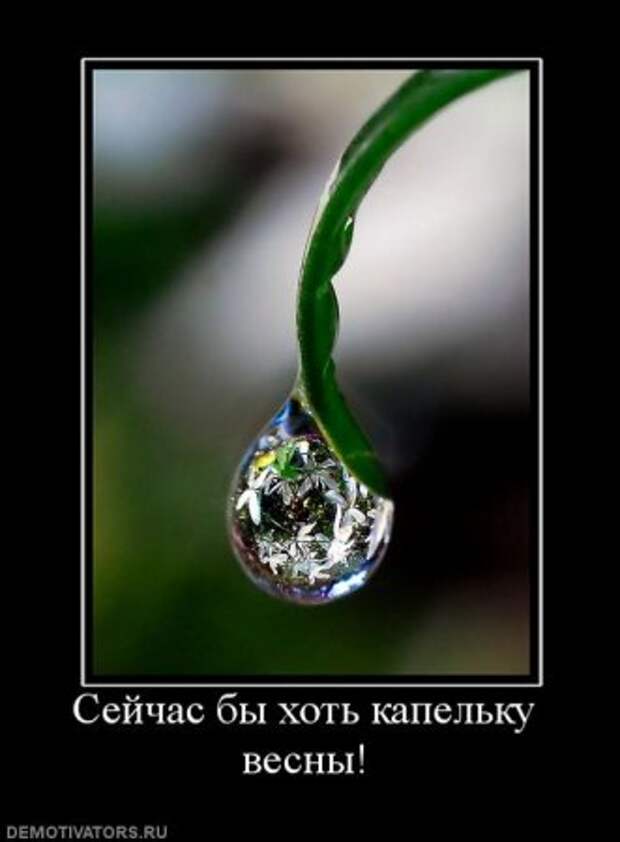 Порция хороших демотиваторов.