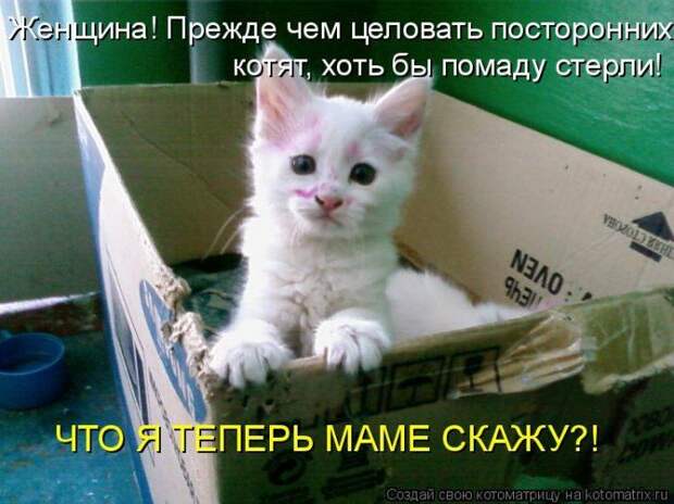 Мысли вслух :)