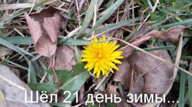 Фото приколы, смотри или танцуй.