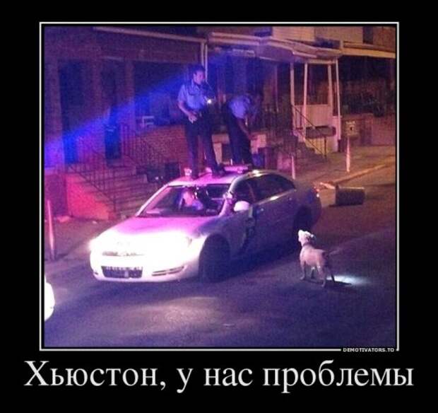 Новые демотиваторы (16 шт)