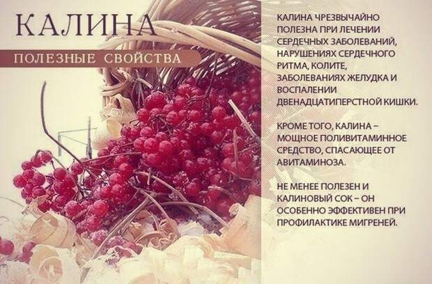 9 самых полезных продуктов для всего организма