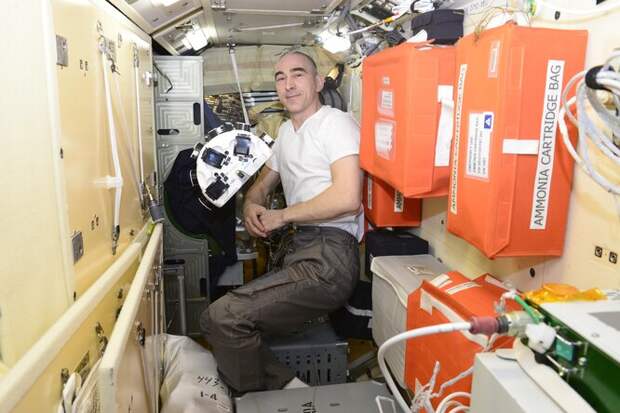 Космонавт Иванишин А.А. проводит эксперимент по получению материалов для регенерации костной ткани на борту МКС. 