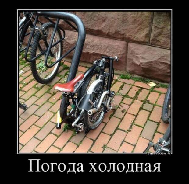 Новые демотиваторы-приколы (19 шт)