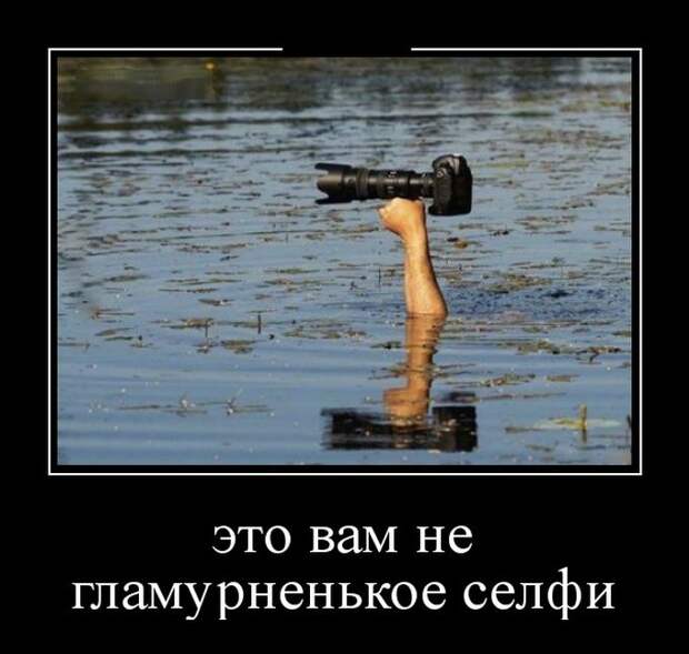 Демотиваторы (30 фото)