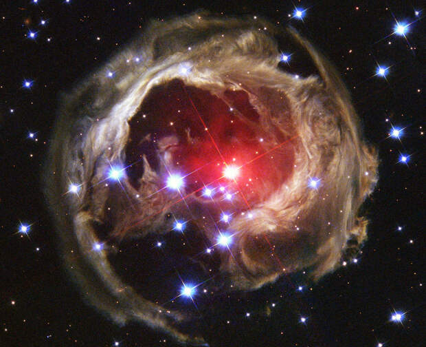 V838 Monocerotis revisited: Space phenomenon imitates art