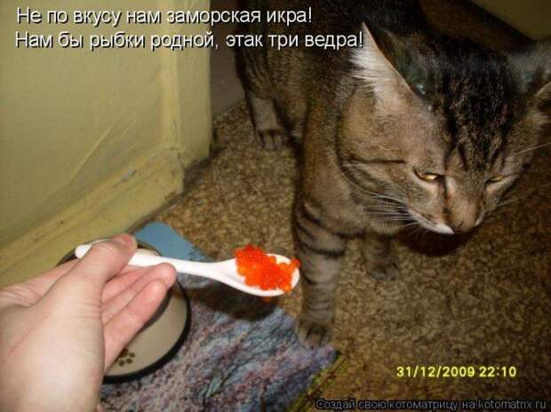 Мысли вслух :)