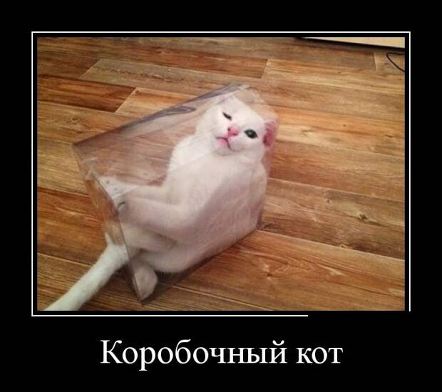 Демотиваторы демотиваторы, прикол, смех, юмор