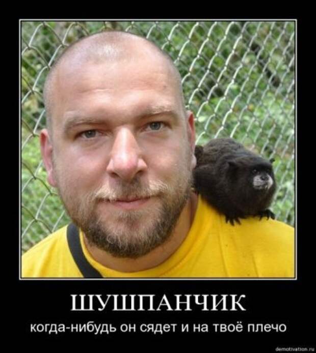 Демотиваторы с фото приколами у нас всегда смешно!