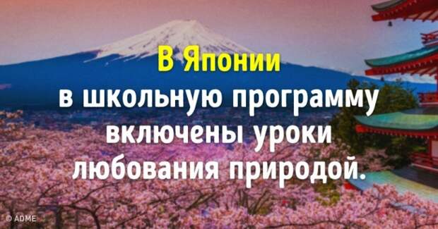 6 уроков из разных стран, которые не захочет пропустить ни один школьник