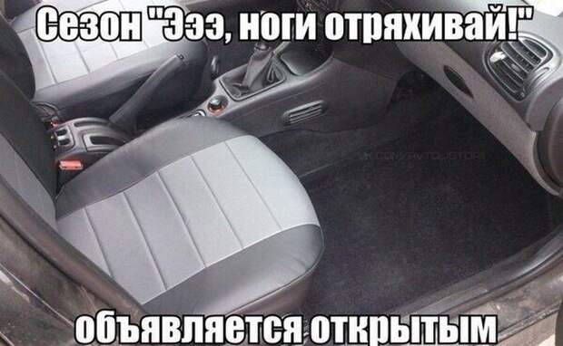 автоприколы