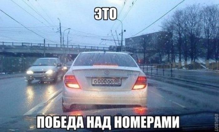 Смешные картинки с подписями катинки, прикол, юмор
