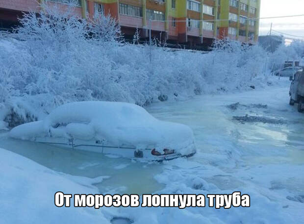 Подборка прикольных фото №1273 (103 фото)