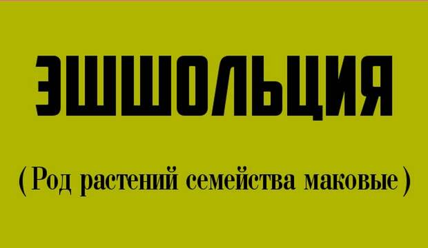 12 странных слов, которые и правда есть в русском языке (12 фото)