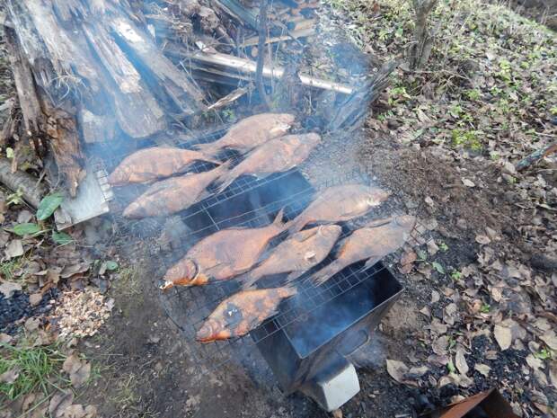 Мой рецепт копченой рыбы Мой рецепт копченой рыбы копчение, отдых, рыба