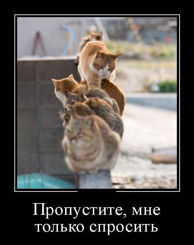 Демотиваторы (30 фото)