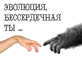 10 звериных способностей, которые должны были достаться нам