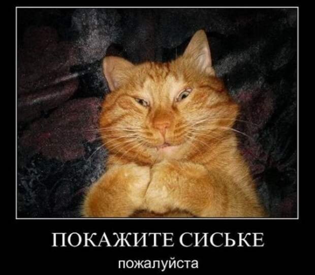 Новейшие демотиваторы, генератор хорошего настроения!
