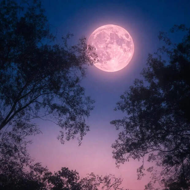 Розовая Луна взойдет над Россией: что нельзя делать в этот период и как ее наблюдать