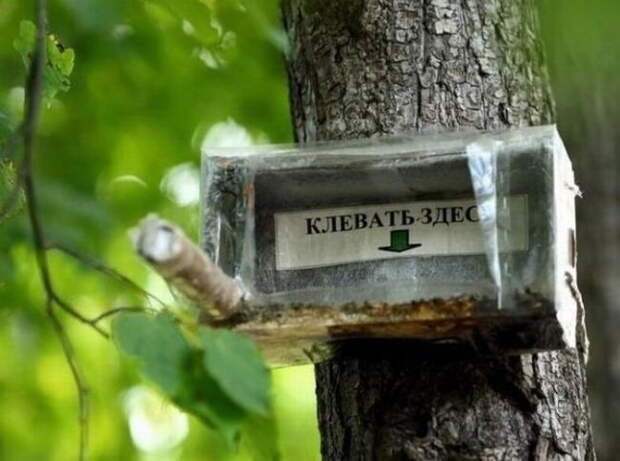Смешные объявления, вывески, рекламки, ценники. часть 60 (25 фото)