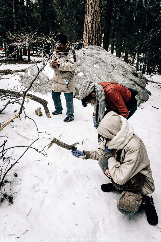 Winter in Mount San Jacinto State Park-12.jpg