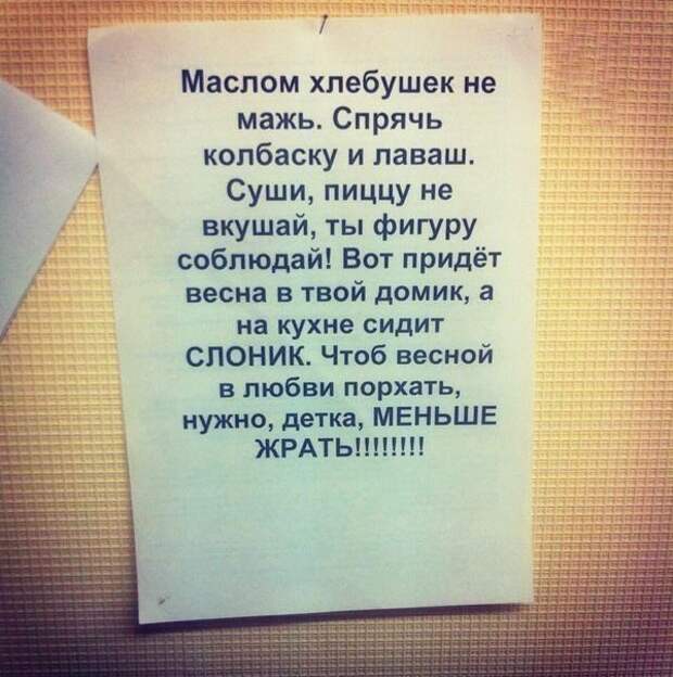 20 гениальных объявлений 20 гениальных объявлений объявление, юмор