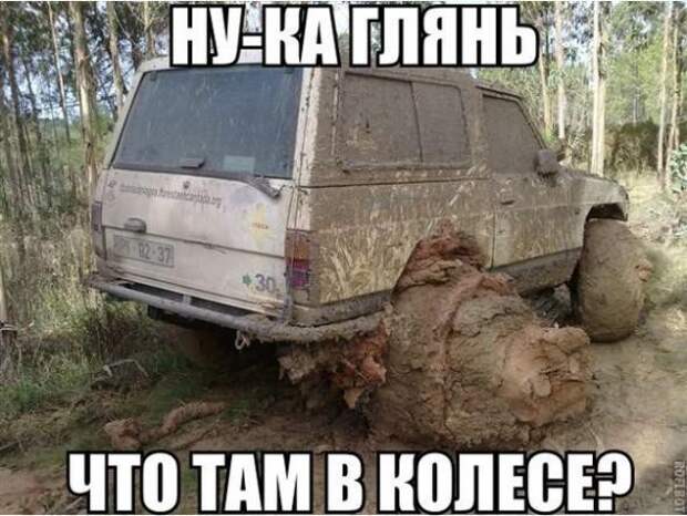 Подборка автоприколов Подборка автоприколов авто, прикол