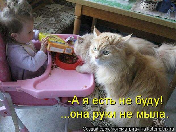 Мысли вслух :)