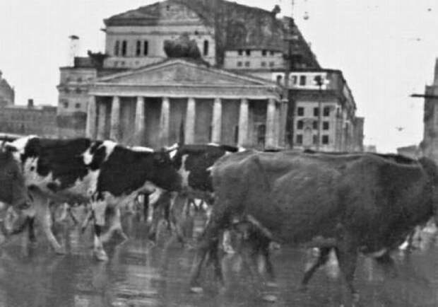 26soviethistoryinpictures.jpg
