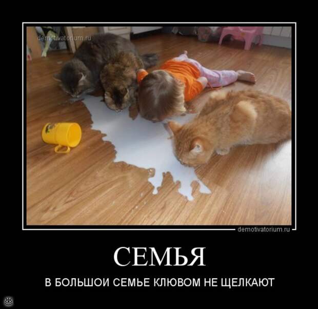 Особые осенние демотиваторы 19