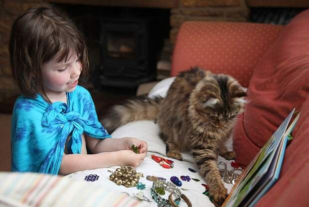 IrisandThula17 Как кошка Тула помогает девочке с аутизмом