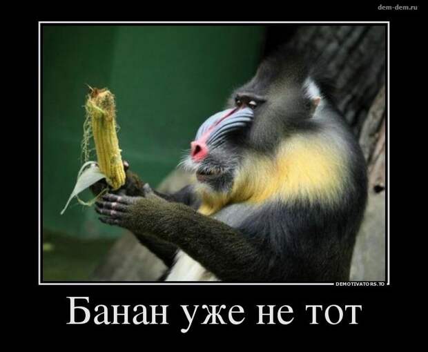 Свежие демотиваторы дня от 5-08-2014