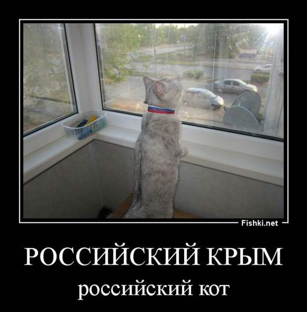 Демотиваторы  демотиваторы, прикол, смех, юмор