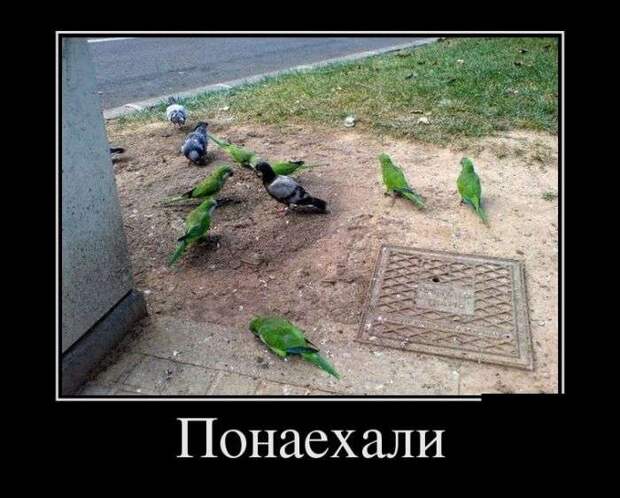 Веселые демотиваторы на выходные