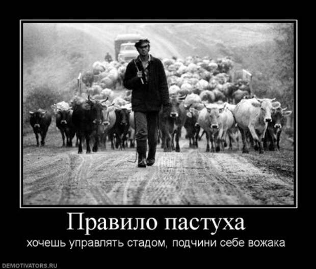 Демотиваторов старых нет.