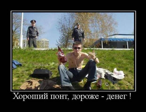 Демотиваторы (30 фото)