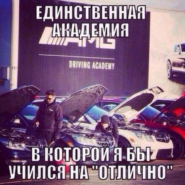 Автоприколы - дураки и дороги