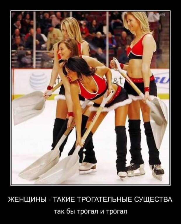 Демотиваторы (38 фото) Демотиваторы (38 фото)